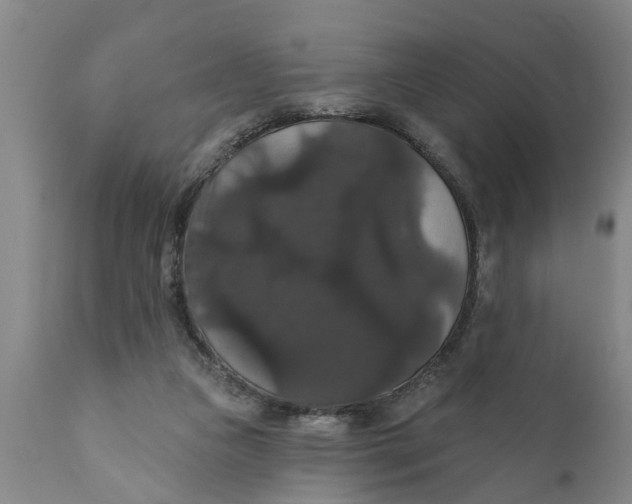 X0000111910161200908171310