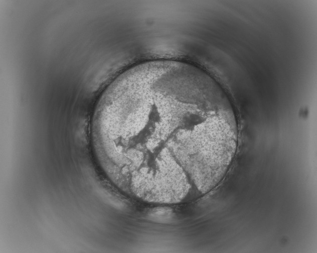 X0000111910162200908171310