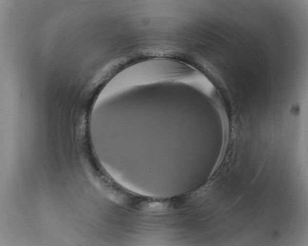 X0000111910163200908171310