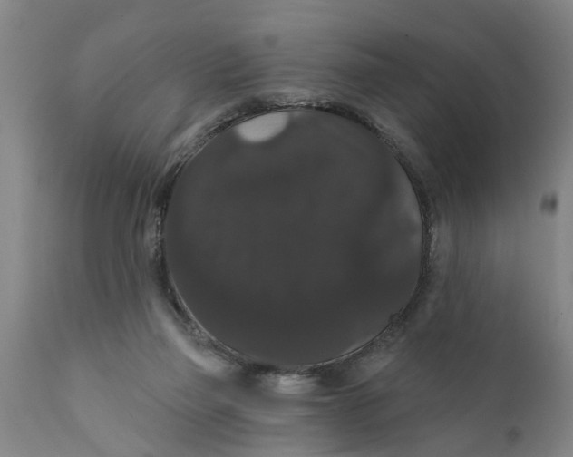 X0000111910165200908171310