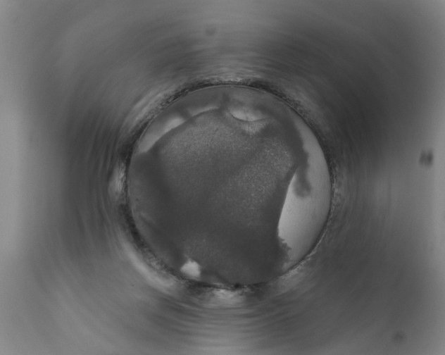 X0000111910166200908171310