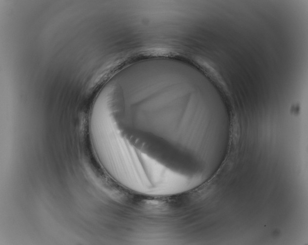 X0000111910167200908171310
