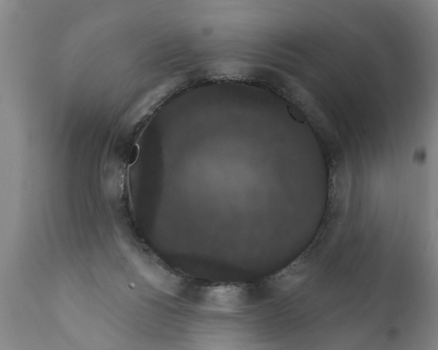 X0000111910168200908171310
