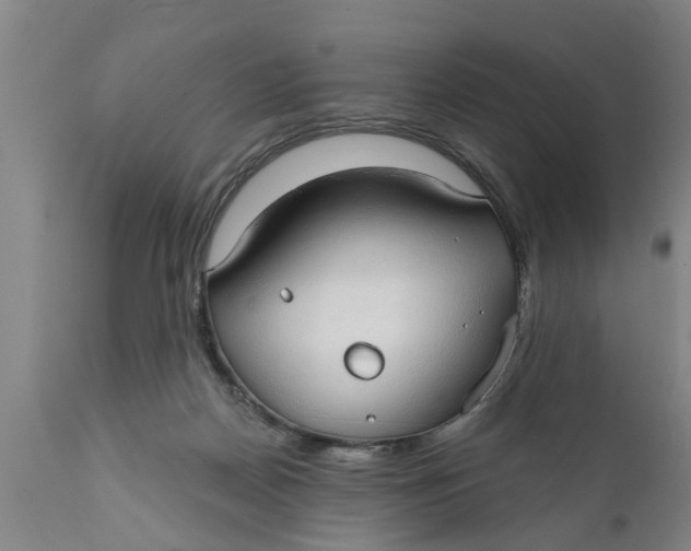 X0000111910170200908171310