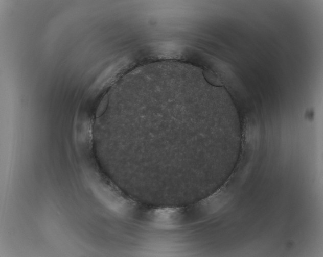 X0000111910172200908171310