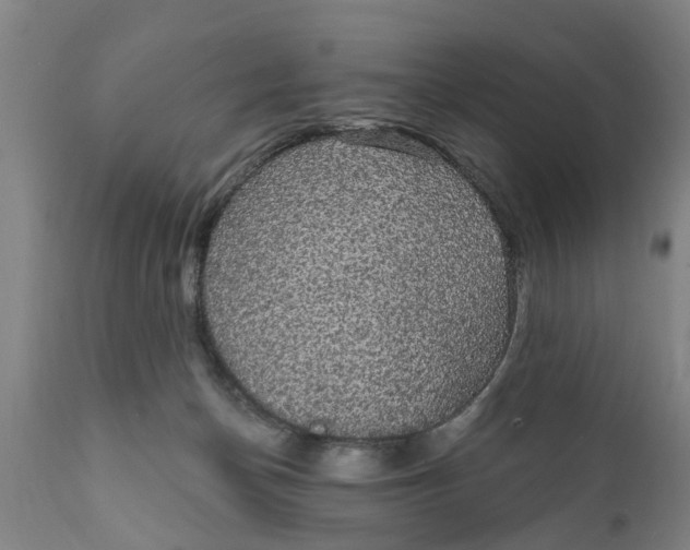 X0000111910174200908171310