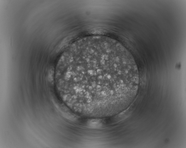 X0000111910175200908171310