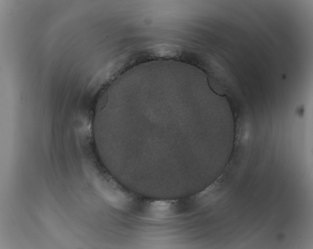X0000111910176200908171310
