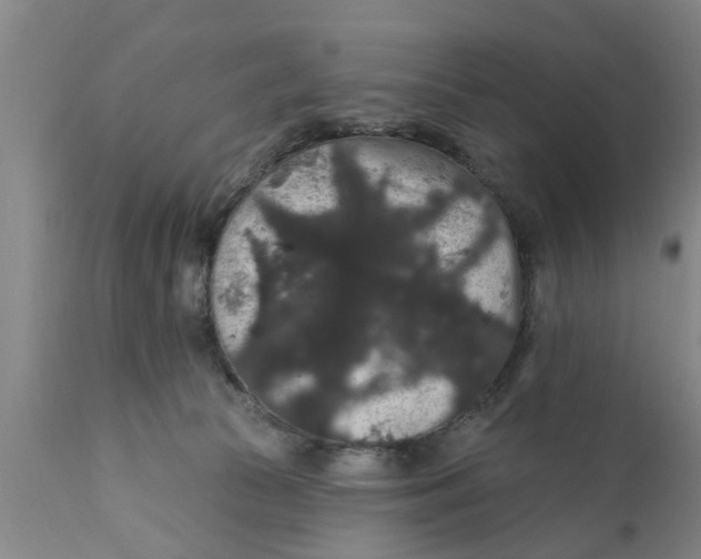 X0000111910177200908171310