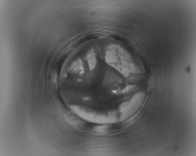 X0000111910178200908171310