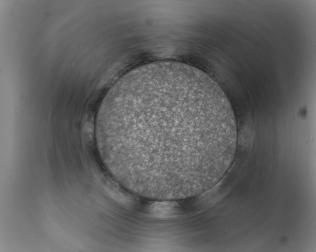 X0000111910179200908171310