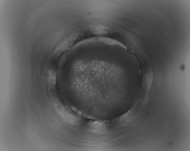 X0000111910180200908171310