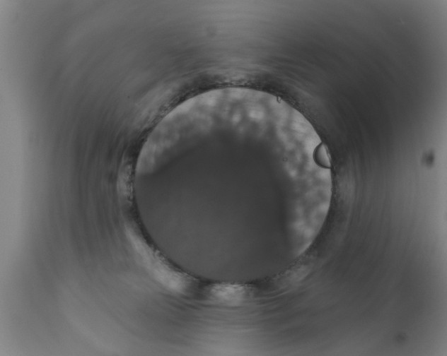 X0000111910181200908171310