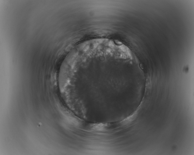 X0000111910182200908171310