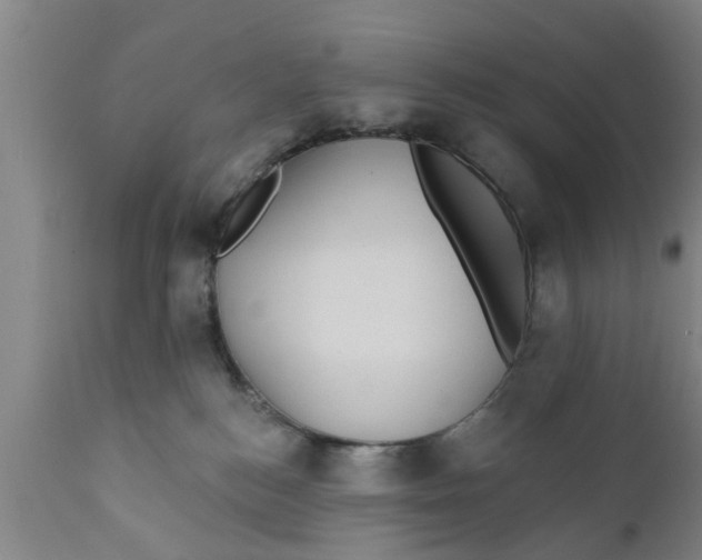 X0000111910184200908171310
