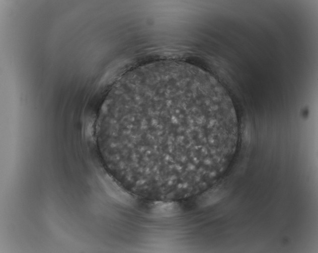X0000111910185200908171310