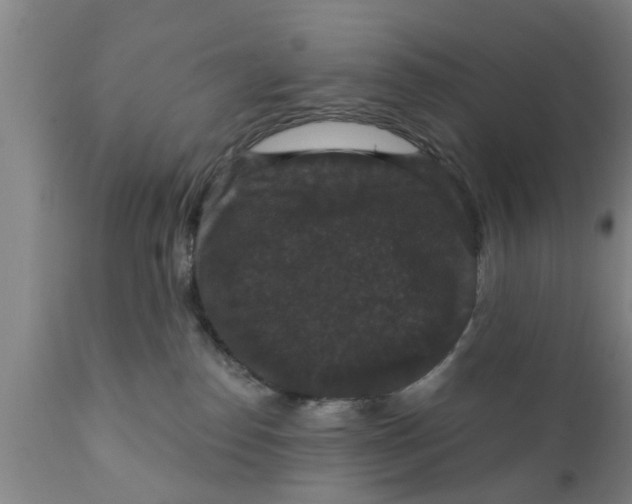 X0000111910186200908171310