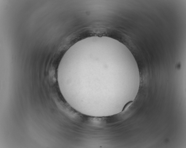 X0000111910187200908171310