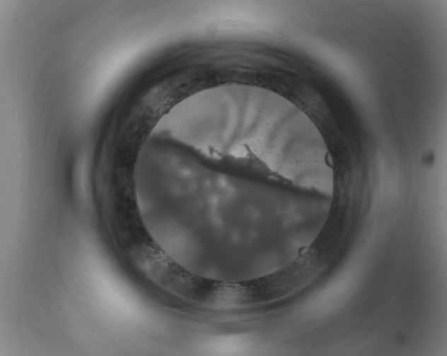 X0000111910189200908171310
