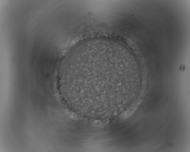 X0000111910192200908171310