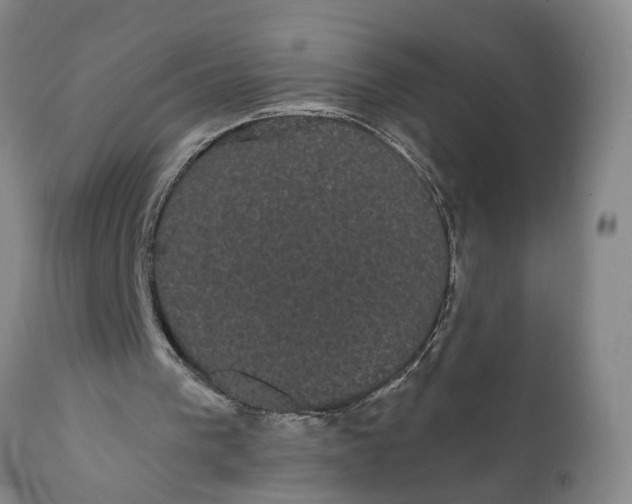 X0000111910193200908171310