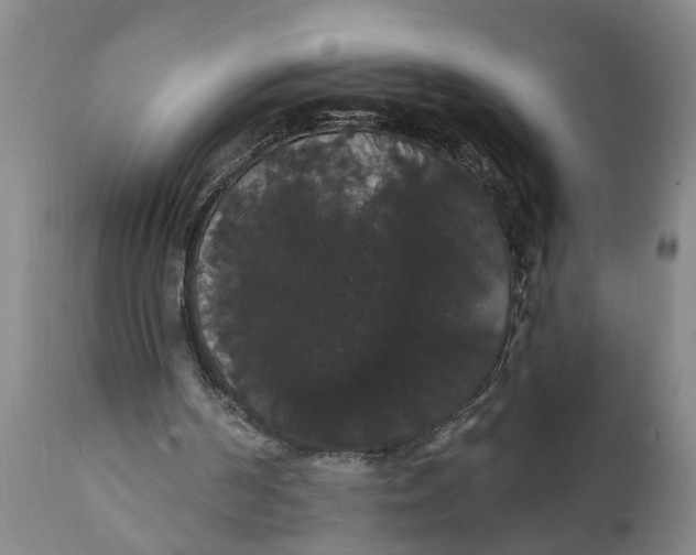 X0000111910194200908171310