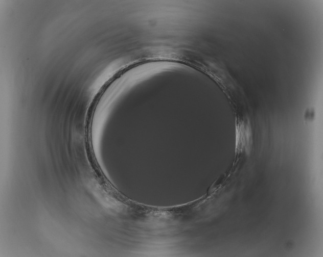 X0000111910195200908171310