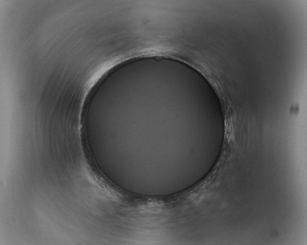 X0000111910196200908171310