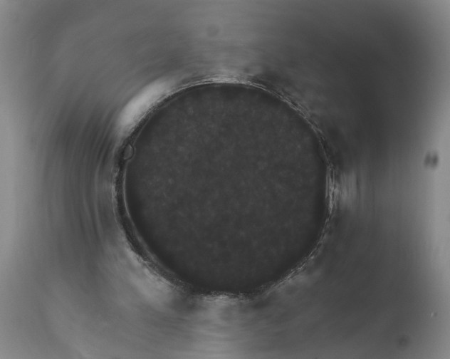 X0000111910197200908171309
