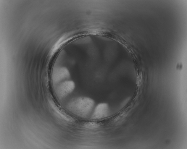 X0000111910198200908171309