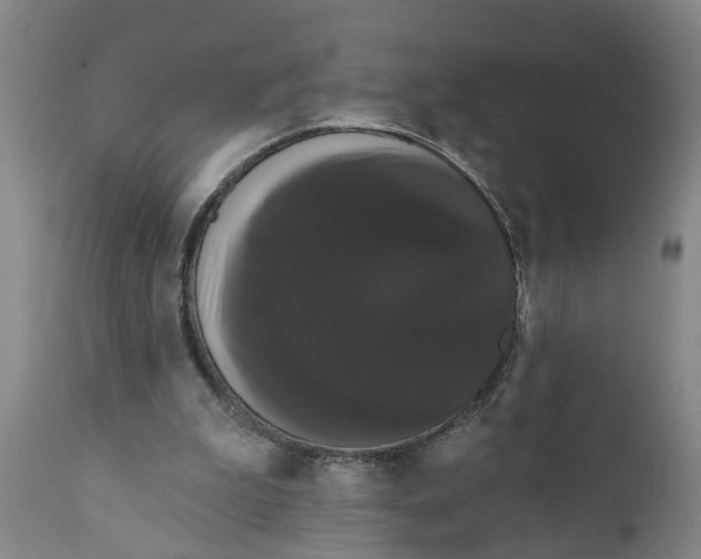 X0000111910199200908171309