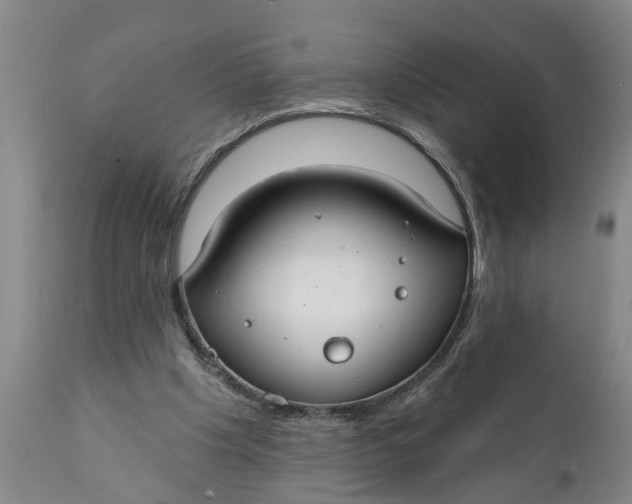 X0000111910201200908171309