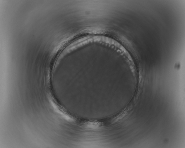 X0000111910202200908171309