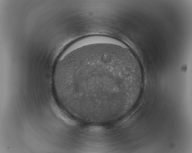 X0000111910203200908171309