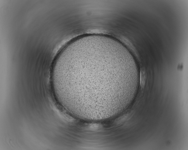 X0000111910204200908171309