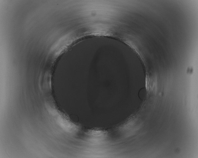 X0000111910205200908171309