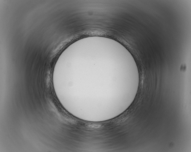 X0000111910206200908171309