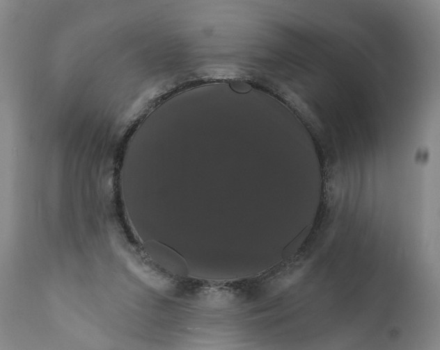 X0000111910207200908171309