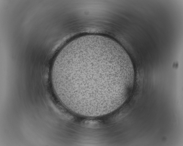 X0000111910208200908171309