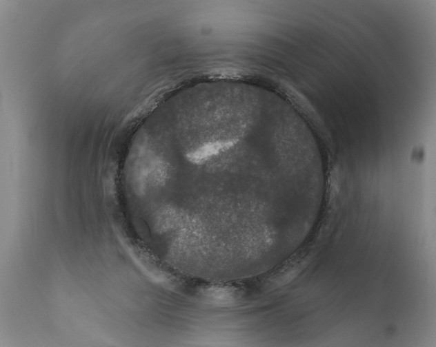 X0000111910209200908171309