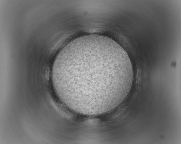 X0000111910210200908171309