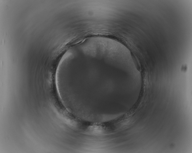 X0000111910211200908171309