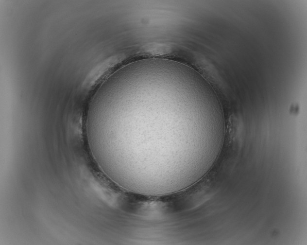 X0000111910212200908171309