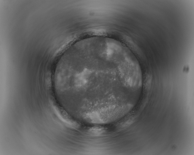 X0000111910213200908171309