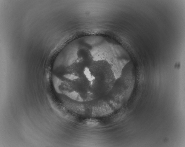 X0000111910214200908171309