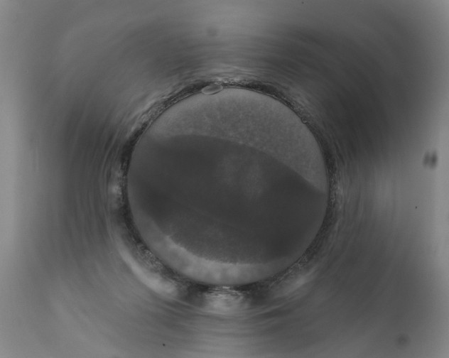 X0000111910215200908171309
