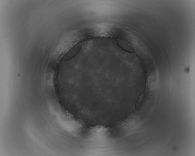 X0000111910217200908171309