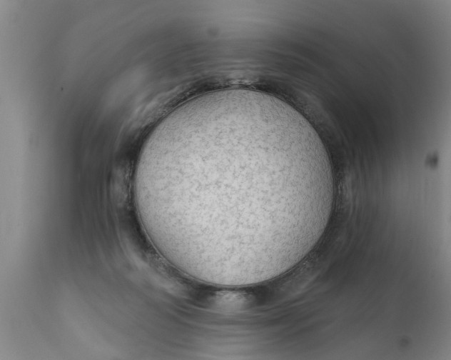 X0000111910218200908171309