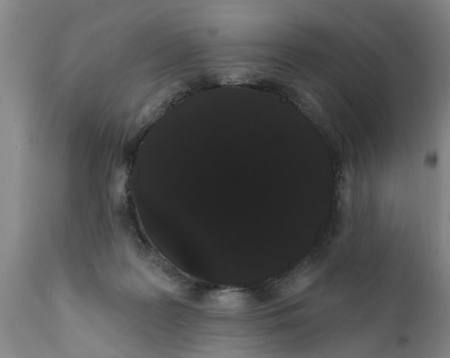 X0000111910219200908171309