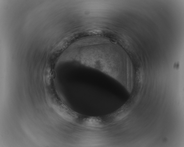 X0000111910223200908171309